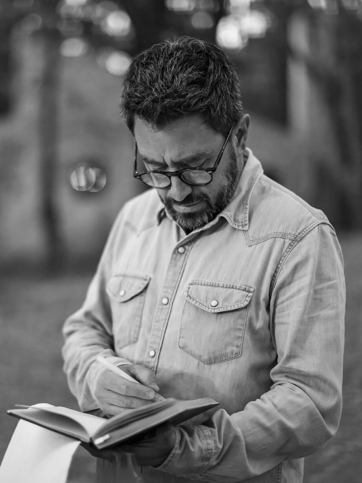 COA Arquitectura,森林庇护所丨墨西哥-5