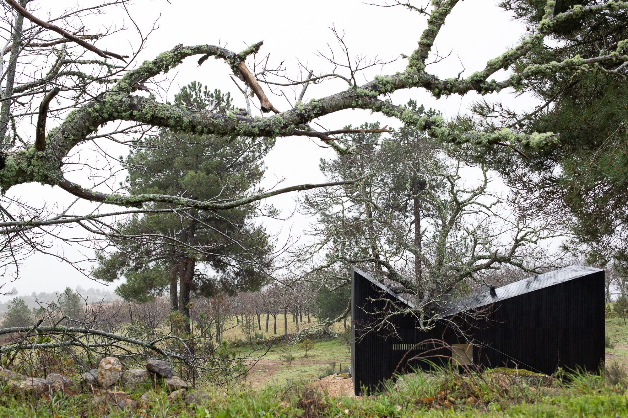 栗树屋丨葡萄牙丨João Mendes Ribeiro-58