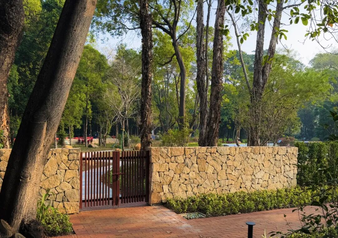 十一赏景别错过！华南国家植物园[绿美广东物种展示园]-51