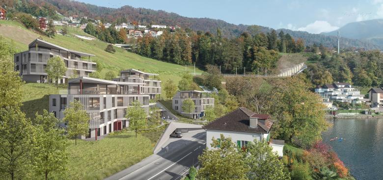 MFH 里吉布利克住宅丨瑞士丨OVA Studio GmbH-0