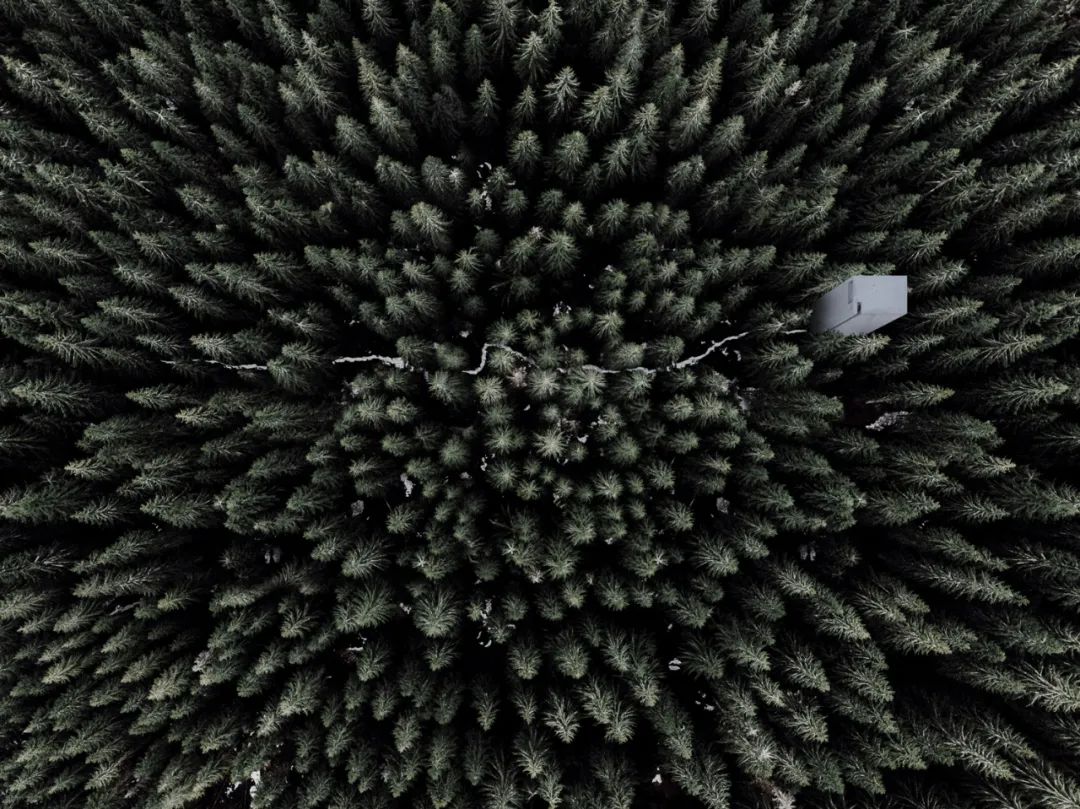 莫斯科郊外森林庇护所丨俄罗斯莫斯科丨David Cirocchi-2