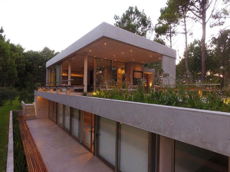 House With Ten Pines（库察萨德塞特博罗瓦）丨阿根廷丨Estudio Frolik-41