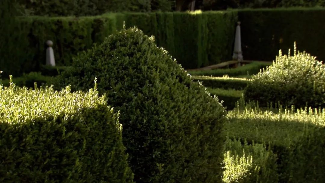 绿意盎然,文艺复兴风格复兴之作——伊塔蒂别墅花园设计-30