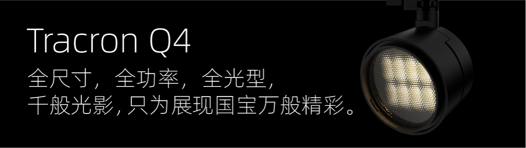 中国人民抗日战争纪念馆：《为了民族解放与世界和平——纪念中国人民抗日战争暨世界反法西斯战争胜利80周年主题展览》-19