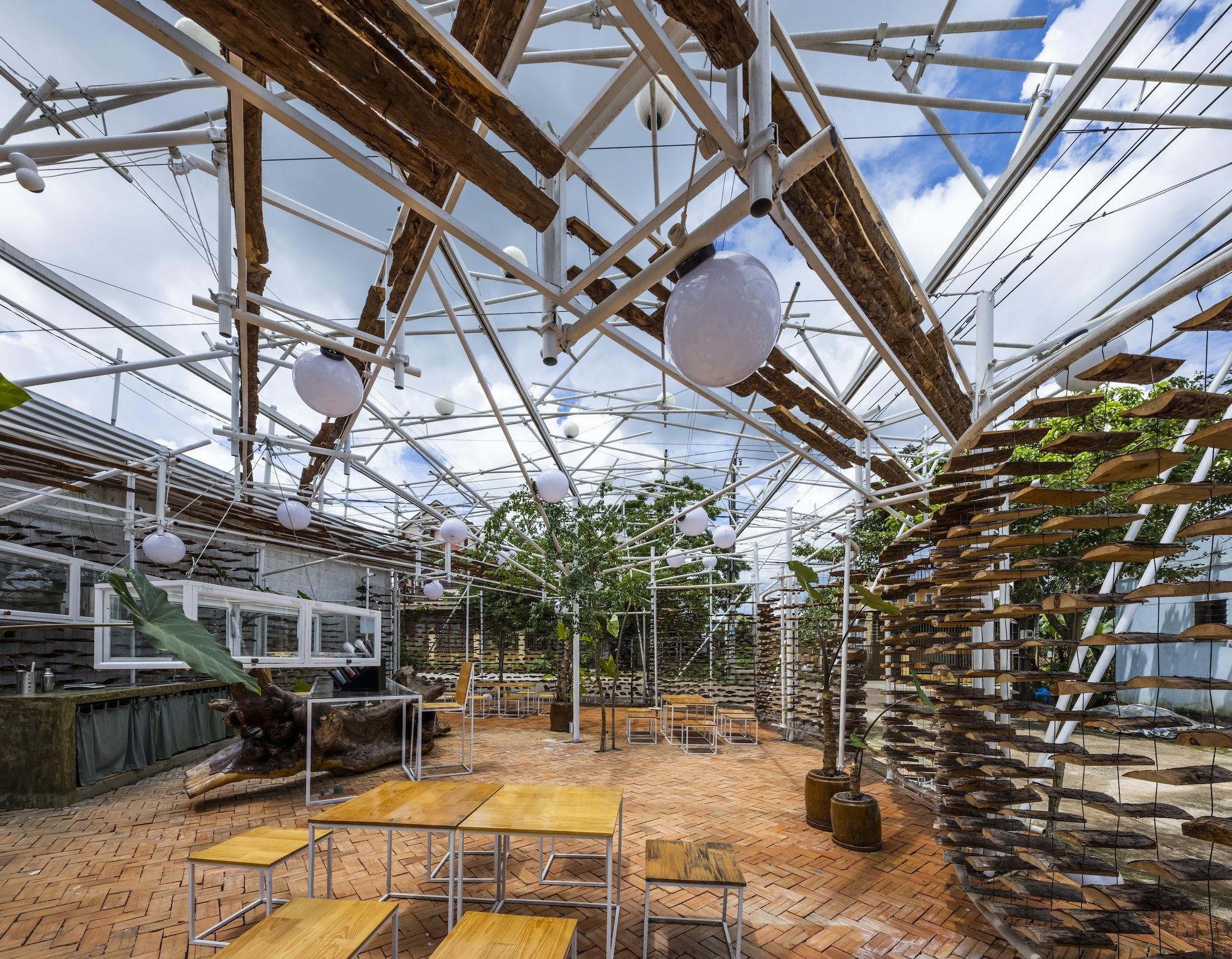 采茶，开花丨越南-35