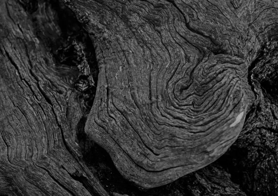 伊比沙岛自然之美 | La Granja Ibiza 农舍设计-27