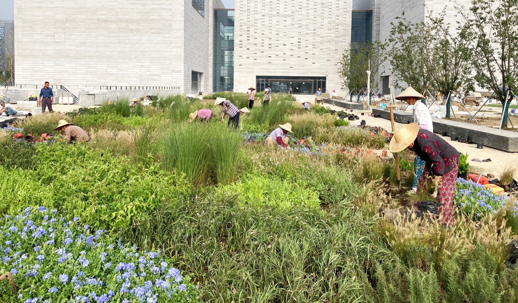 狮山公园丨中国苏州丨TLS景观设计事务所-64