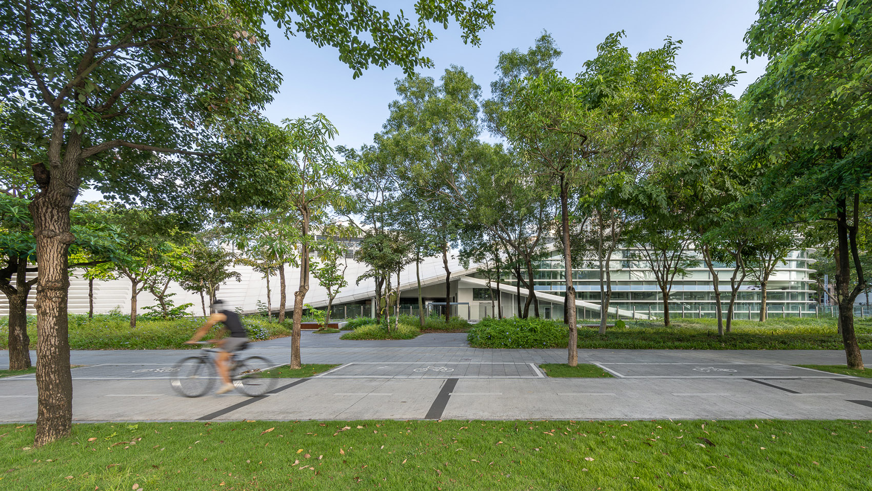 从城市到校园·深圳（宝中集团）海天学校丨中国深圳丨深圳市建筑设计研究总院有限公司城环院-15