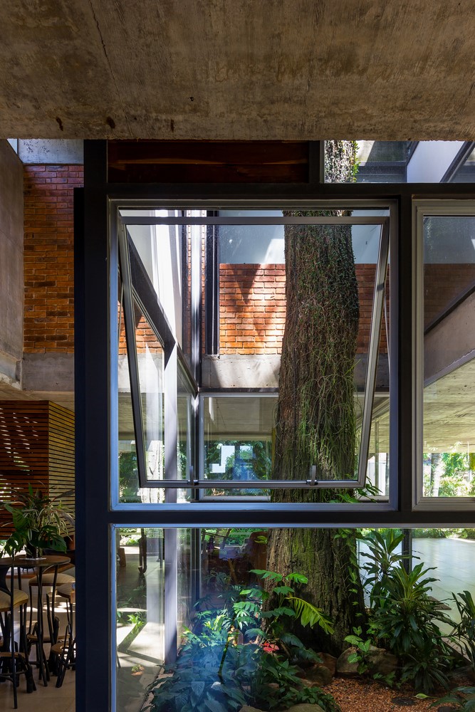 房子之间的树-2