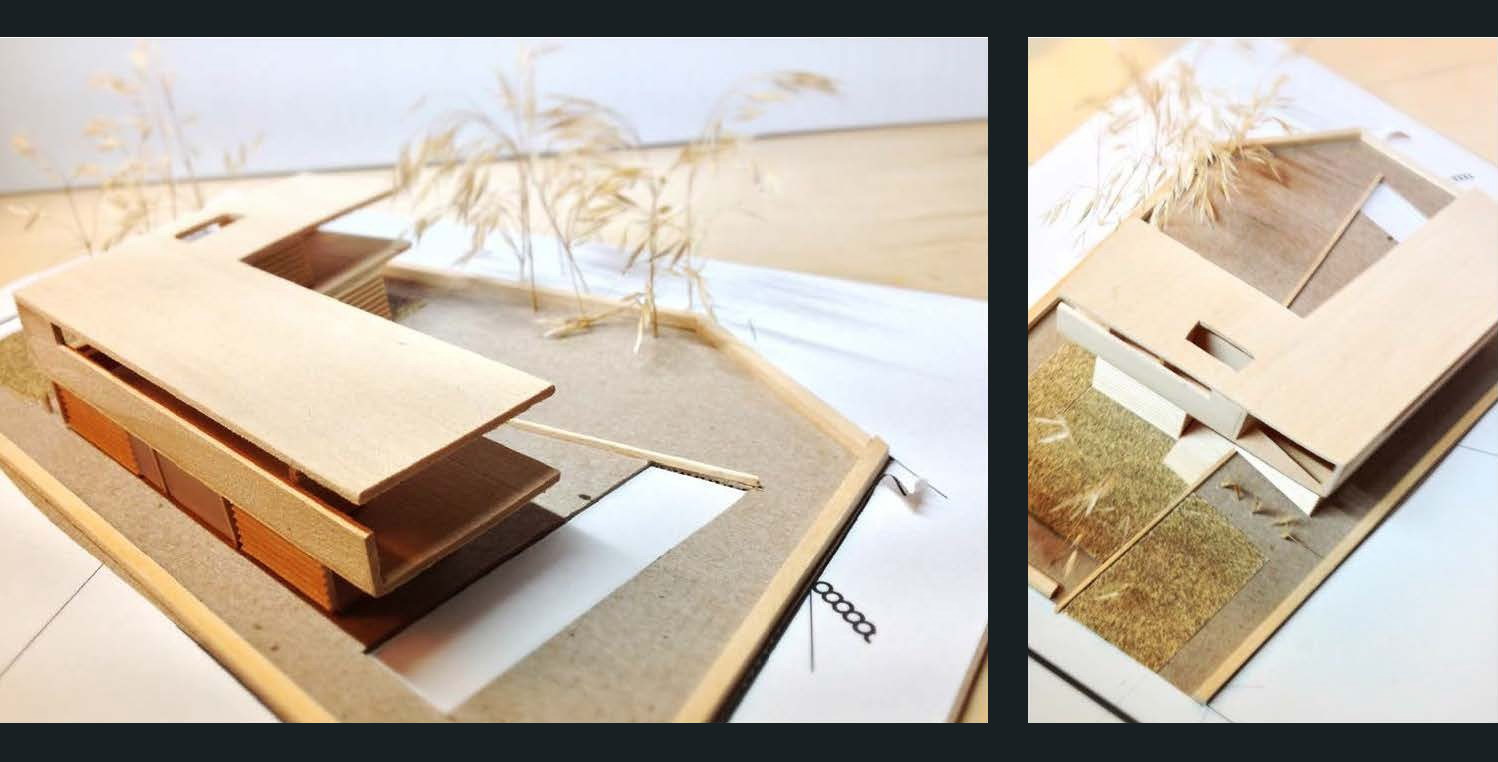 丨美国夏威夷丨Michael Piche-24