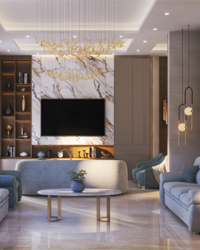Living room and Entrance