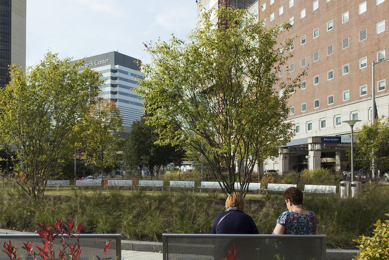 University of Pennsylvania Edward W. Kane Park -1