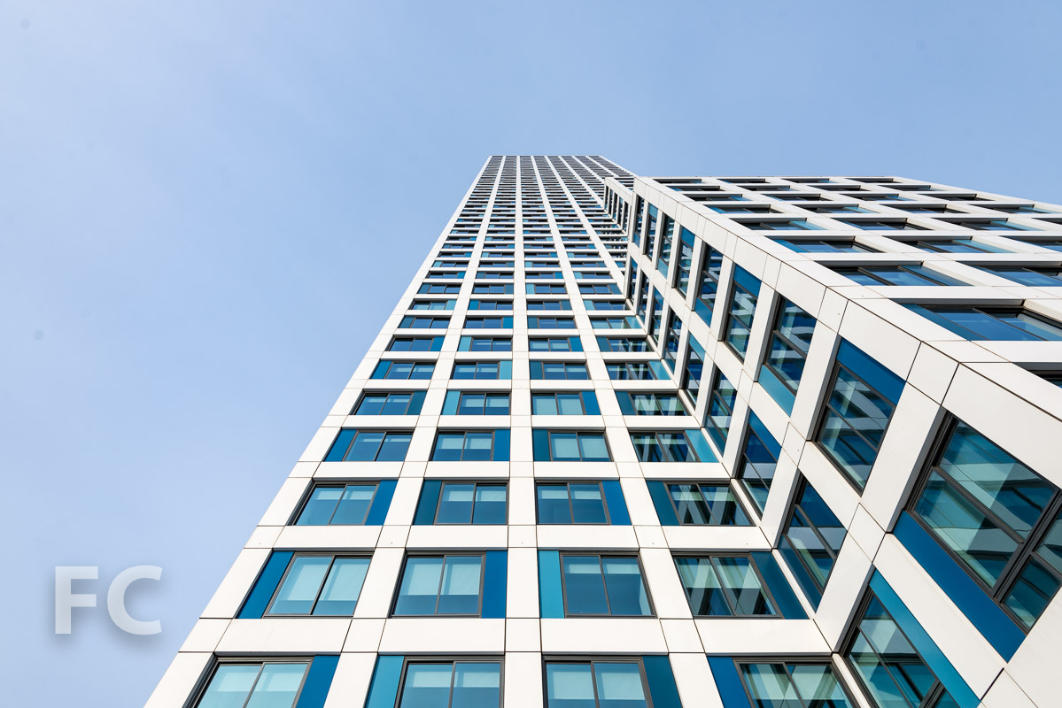 Journal Squared — FIELD CONDITION-18