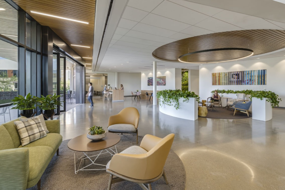 亚利桑那州捐赠者网络办公室丨美国亚利桑那丨Shepley Bulfinch-0