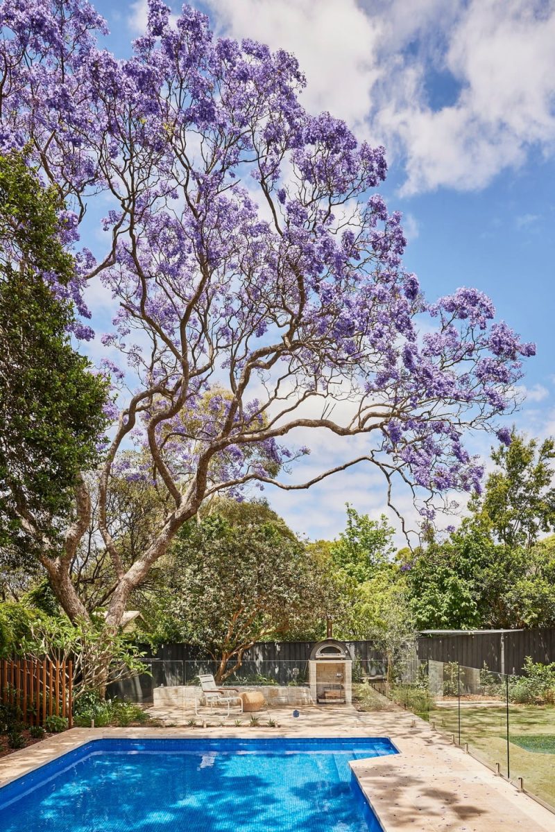 丨澳大利亚新南威尔士-47