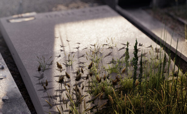 Halil Kaya墓设计（伊斯坦布尔墓地设计竞赛获奖项目）丨土耳其伊斯坦布尔丨Yusuf Burak Dolu等六人团队-6