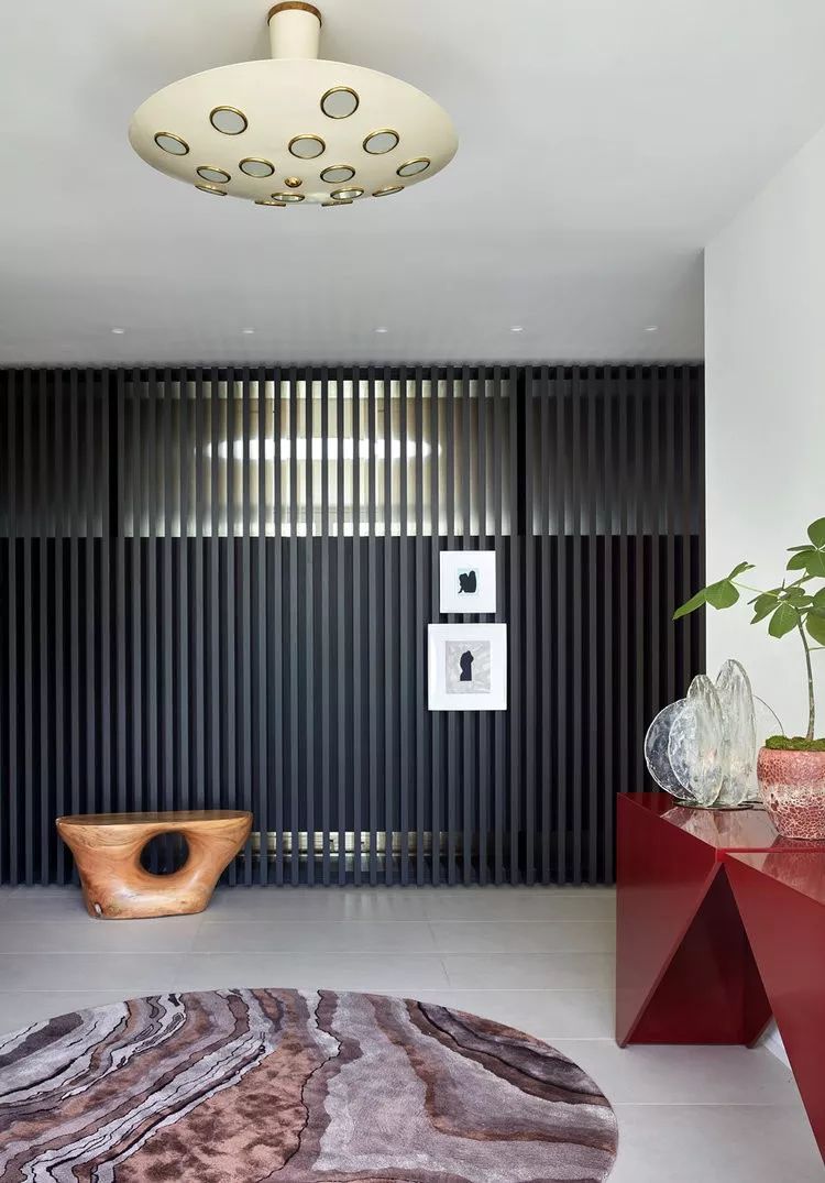 纽约曼哈顿高层住宅,杰米·布什的自然历史艺术设计-52