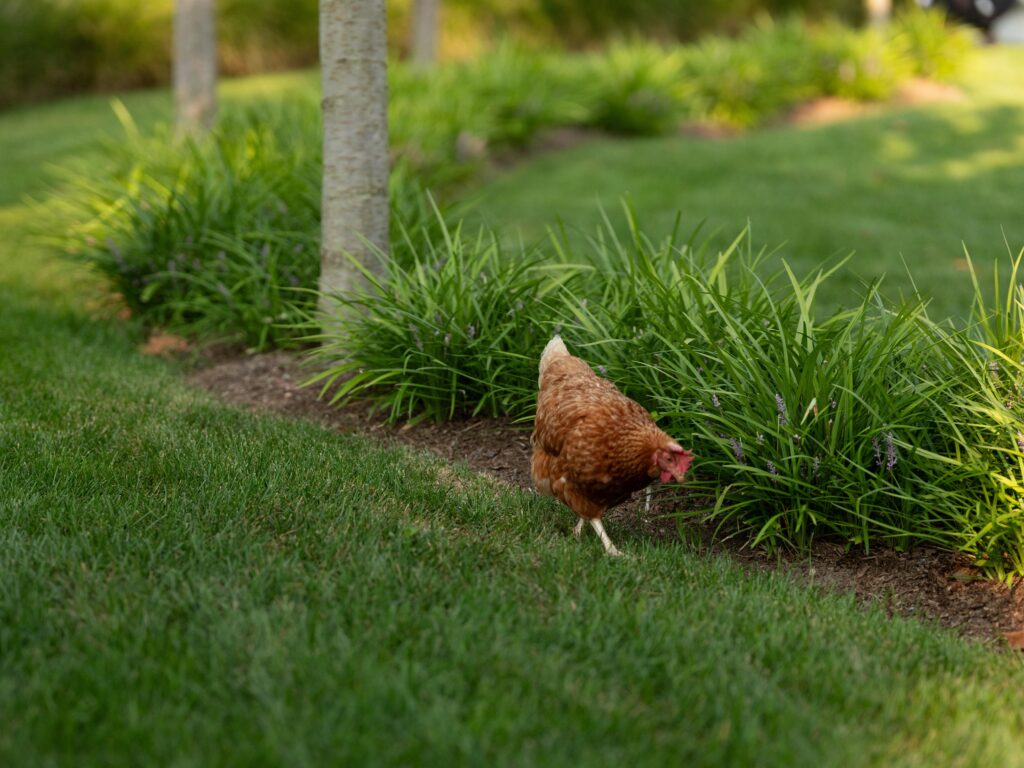 丨Janice Parker Landscape Architects-9