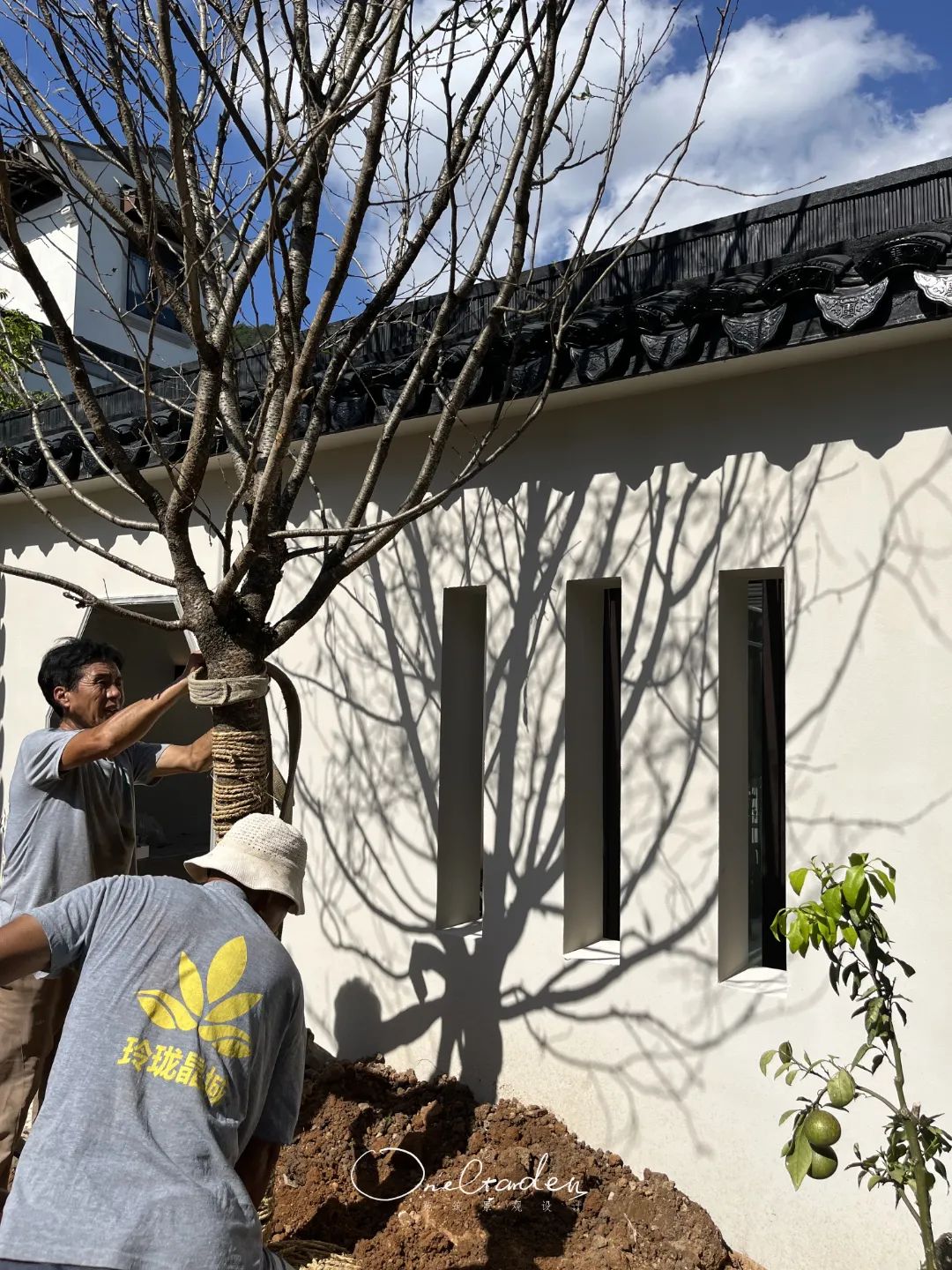 玲珑园 · 诗意的中式庭院设计丨OneGarden-39