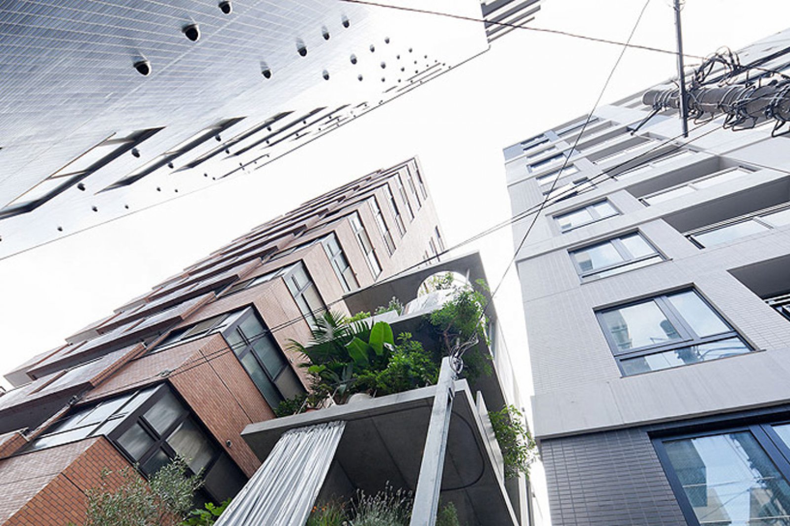 日本东京西泽卫立花园住宅设计-1