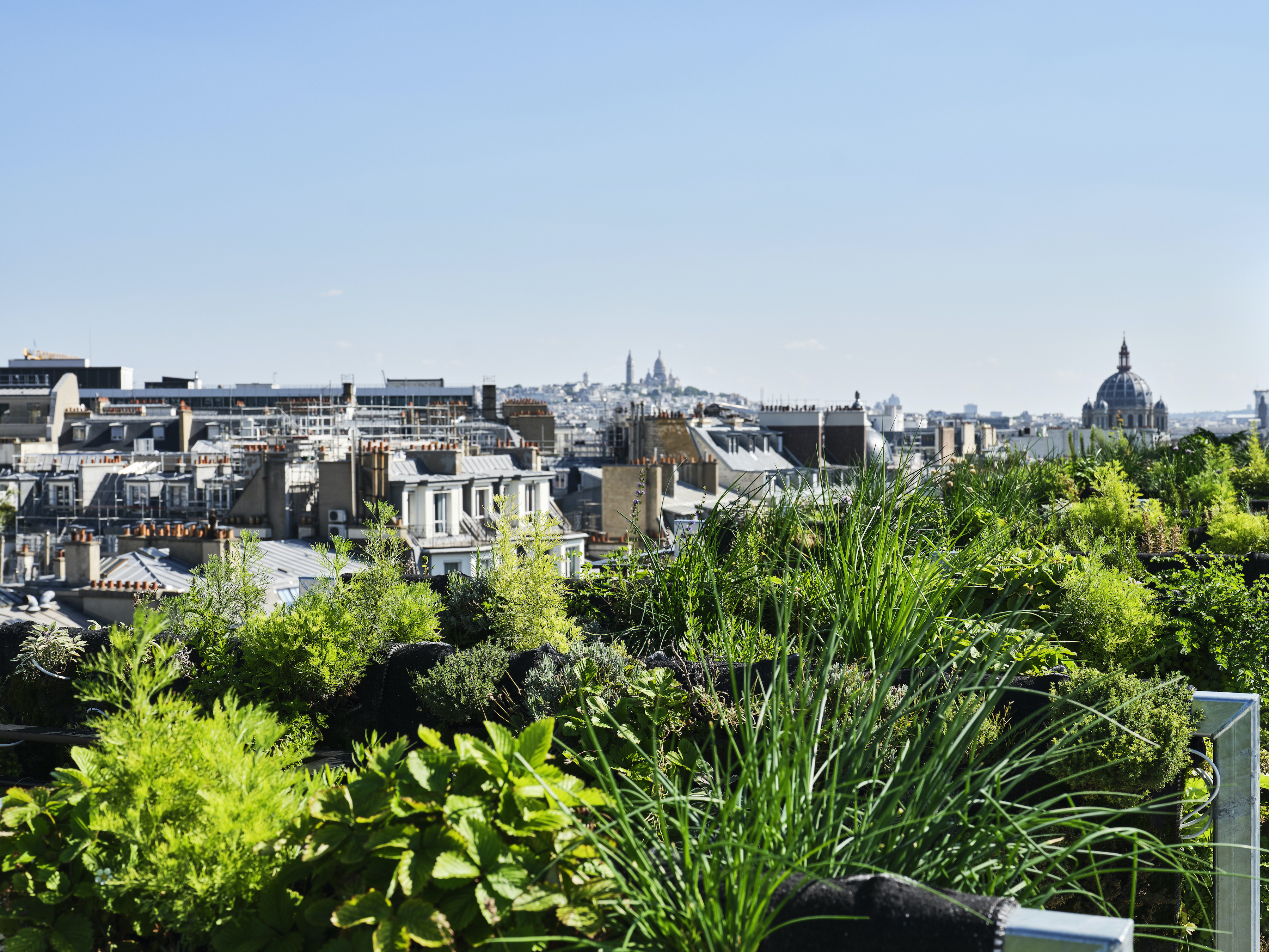 法国巴黎豪斯曼175酒店(175 HAUSSMANN)PCA-STREAM设计-28