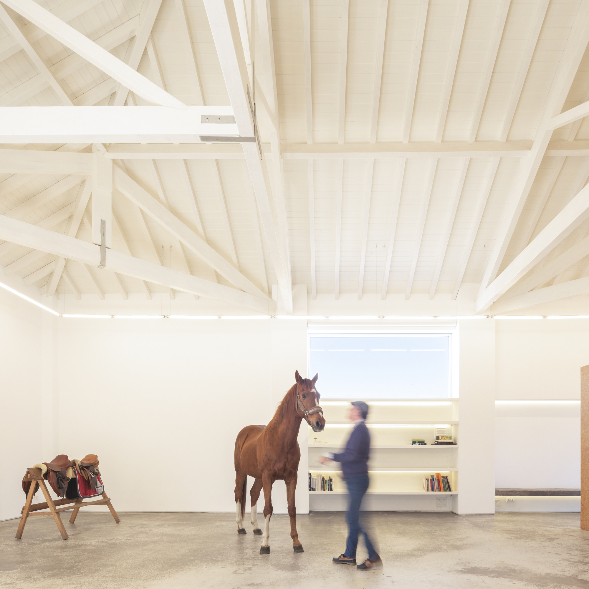 Landscape Observatory of Charneca / Joao Morais-20