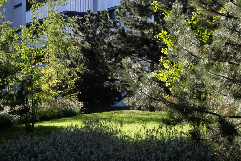 弗赖拉乌姆 艾格比尔丨瑞士-16