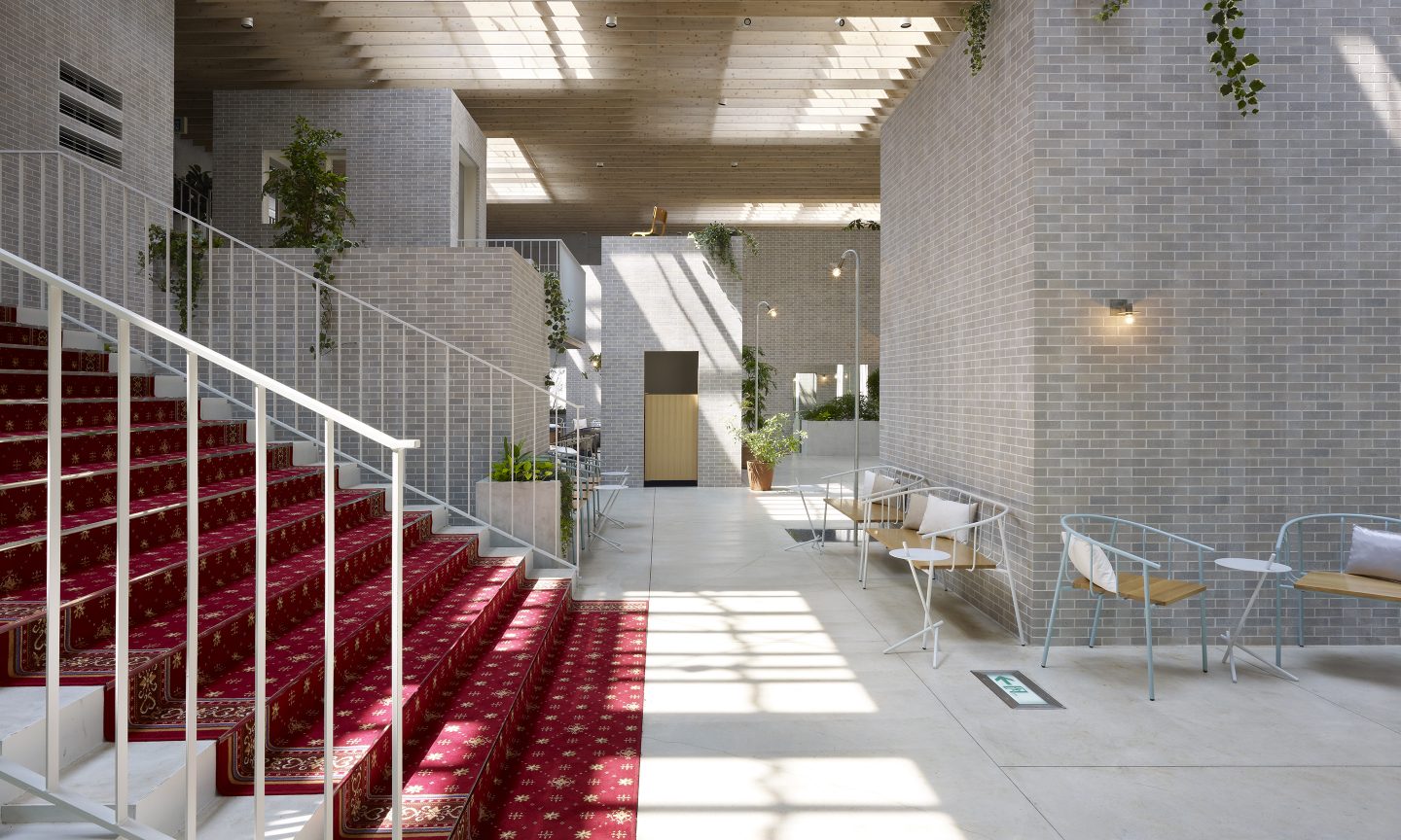 Blue Blanc  Suppose Design-8