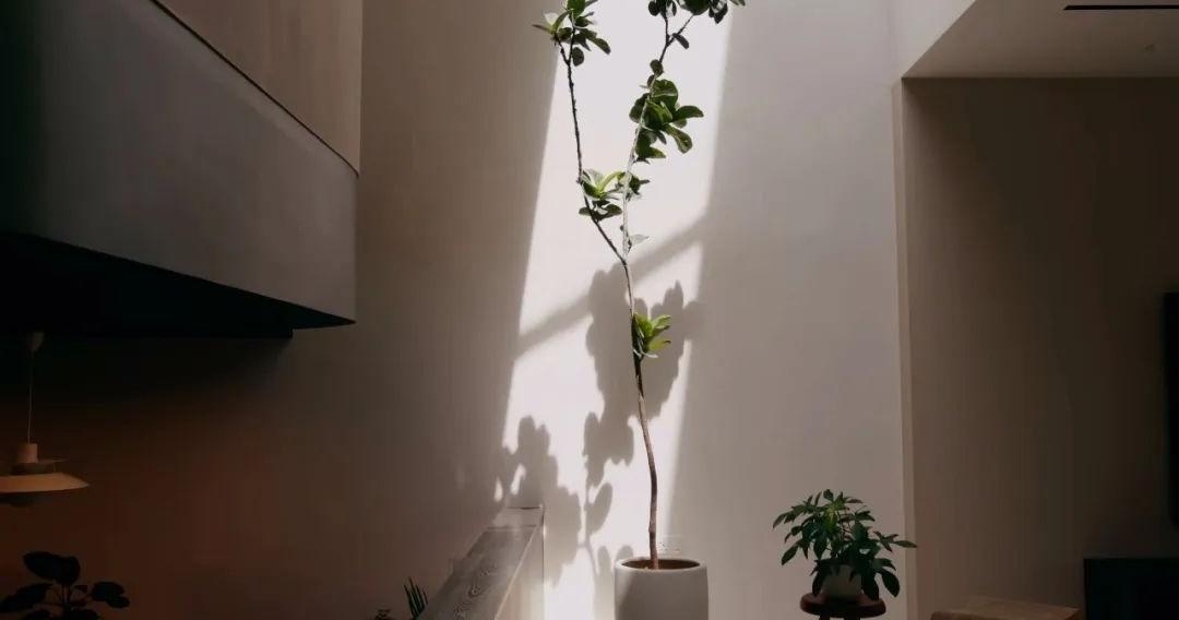 新加坡 320㎡联排别墅改造丨Studio iF-7