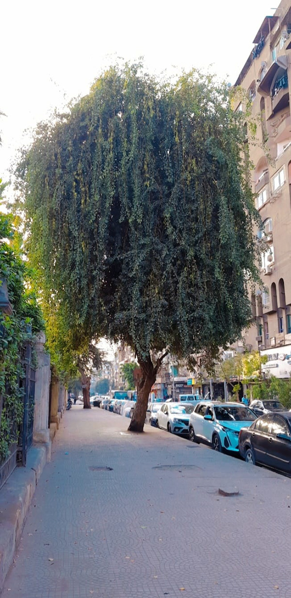 Architecture & Landscape Mobile Photography-4