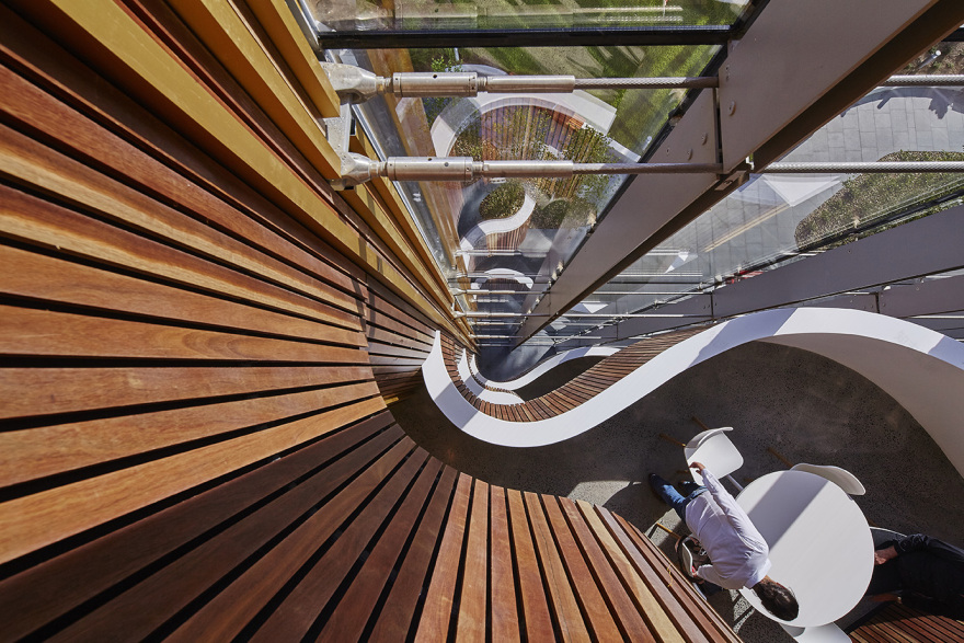 悉尼 HDR 设计室打造的诺华澳大利亚总部-24