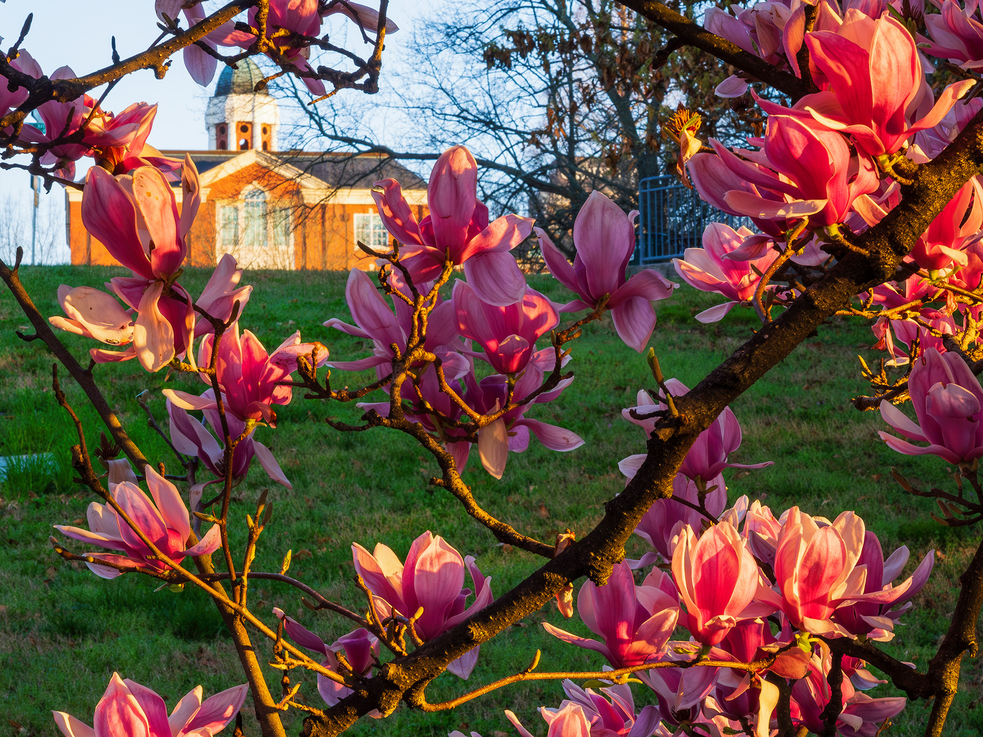 Knoxville, TN (USA).-92