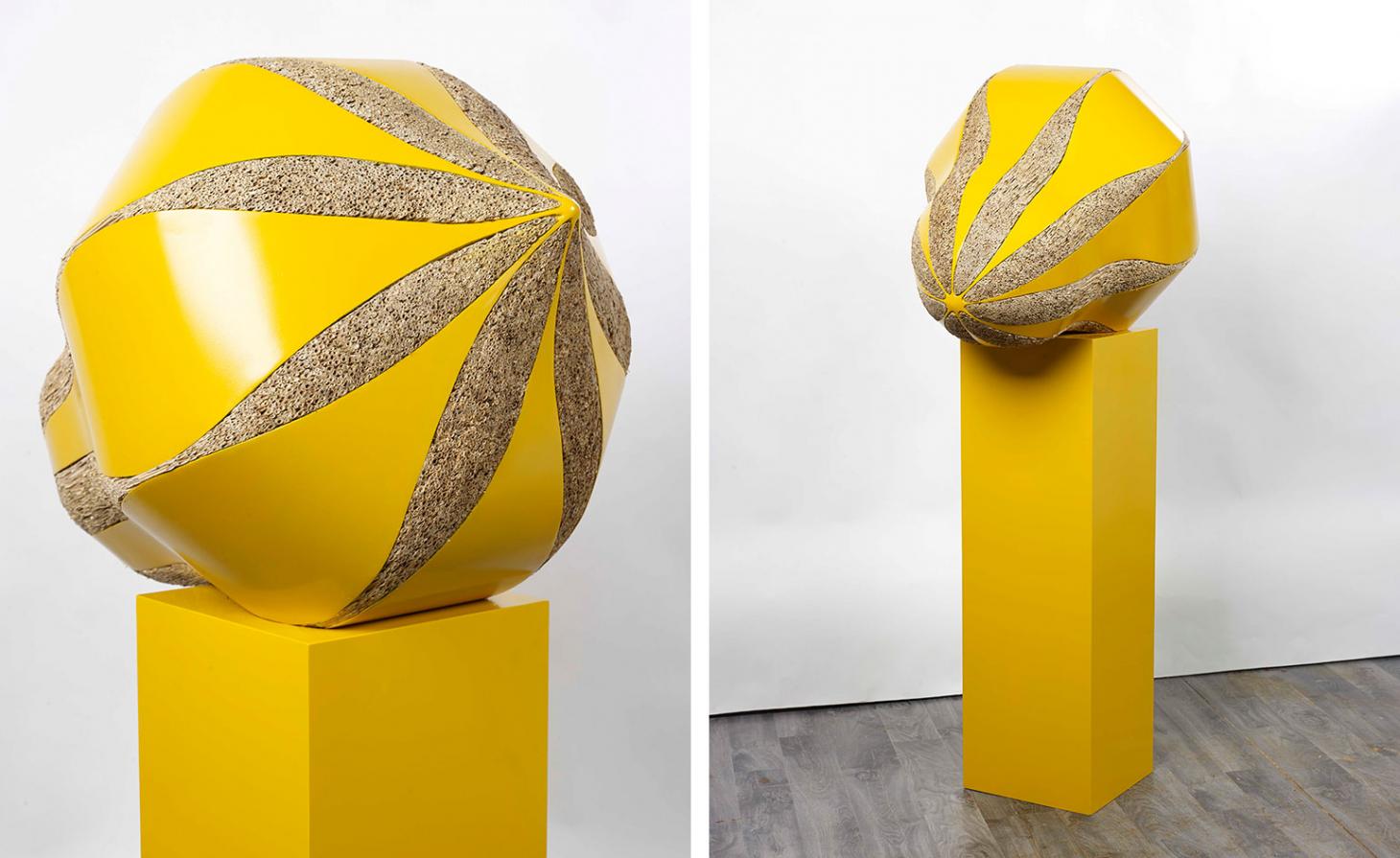 平衡世界中的生命奥秘·卡利奥皮·莱莫斯个展-13