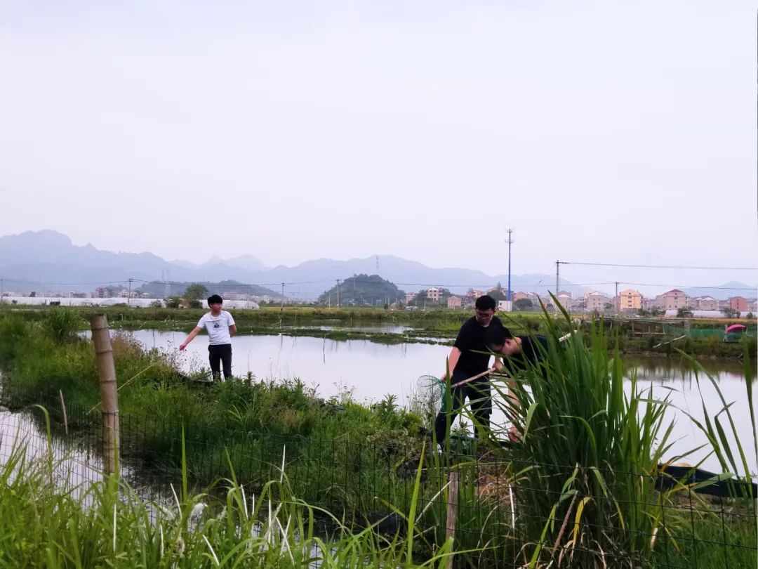 品东装饰户外团建活动 | 快乐工作,健康生活-10