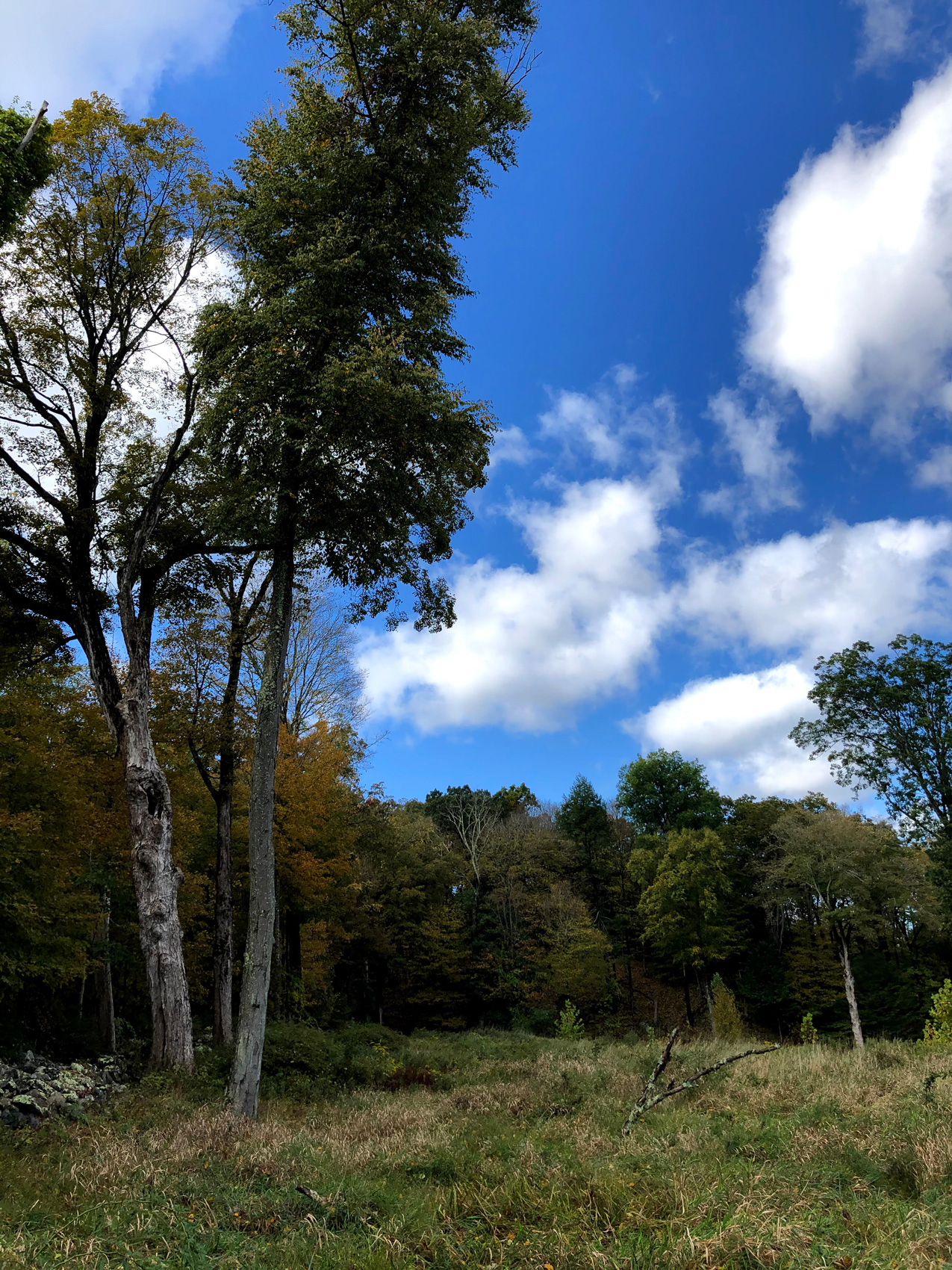 WATERSHED HOUSE MICHAEL K CHEN-13