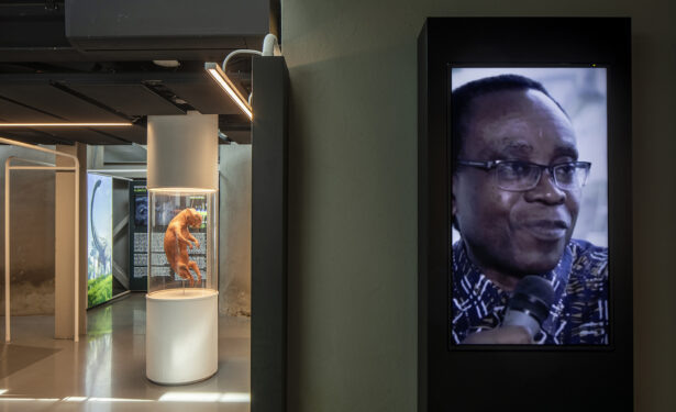 丨土耳其伊斯坦布尔-23