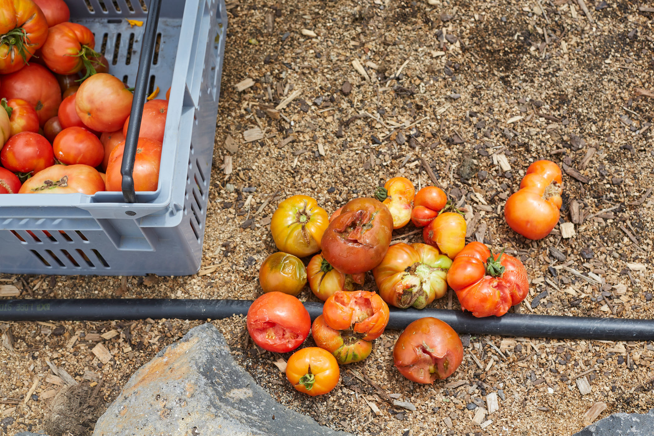 丨新西兰奥克兰丨Xanthe White,James Walkinshaw-20