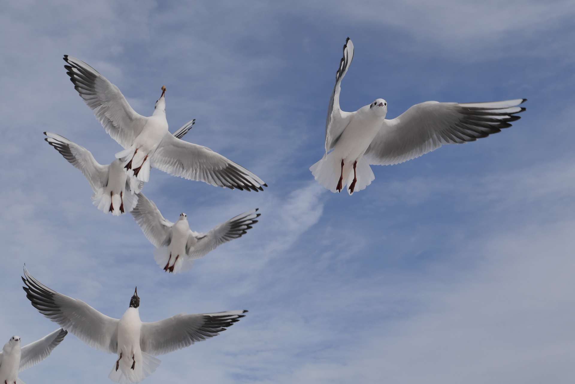 无明确体现丨无相关信息-6