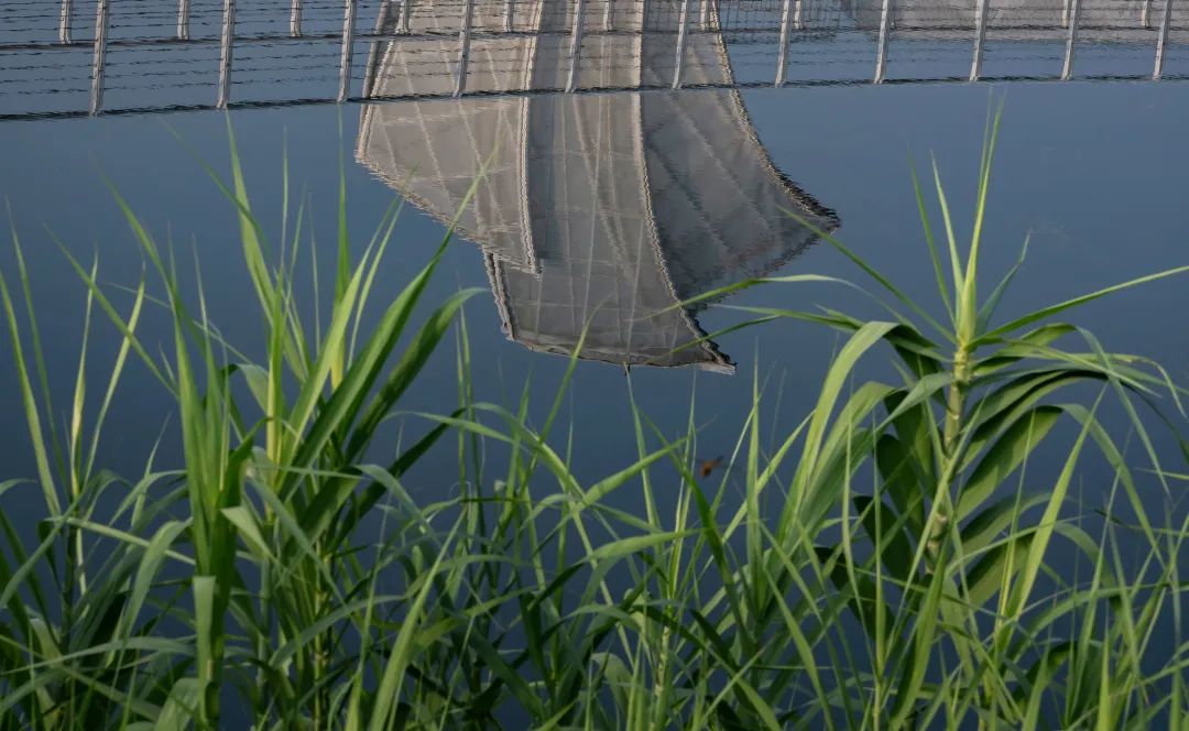 从繁华渔港到生态胜地，重构太湖周边生态面貌 | 太湖流域小溪港鱼咀公园-35