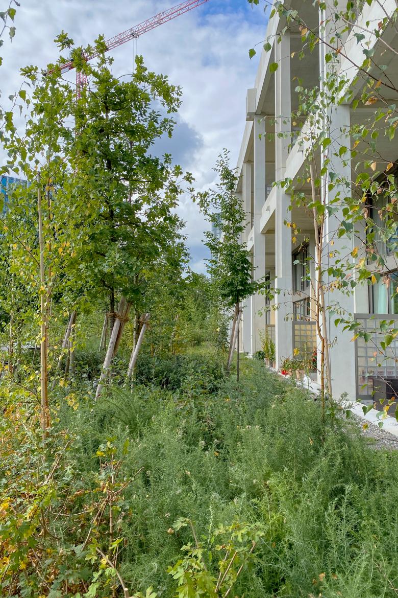 WolkenWerk 景观设计丨瑞士苏黎世丨mavo gmbh-5