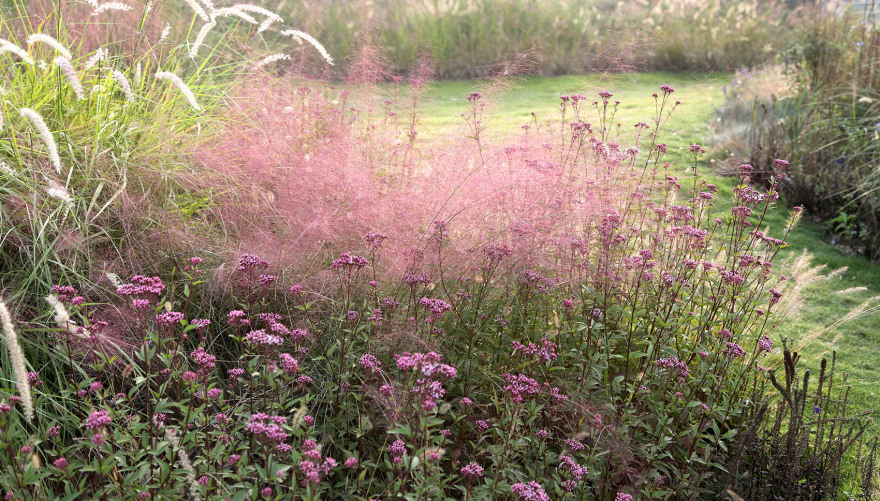 多岛海野草公园丨中国日照丨孔祥伟工作室-145