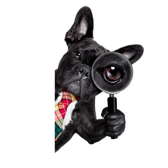 宠物元素合集 乾唐画业 软装挂画-15