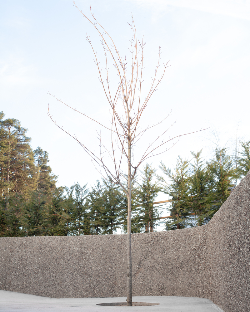 意大利卡萨·路易斯的住宅-19