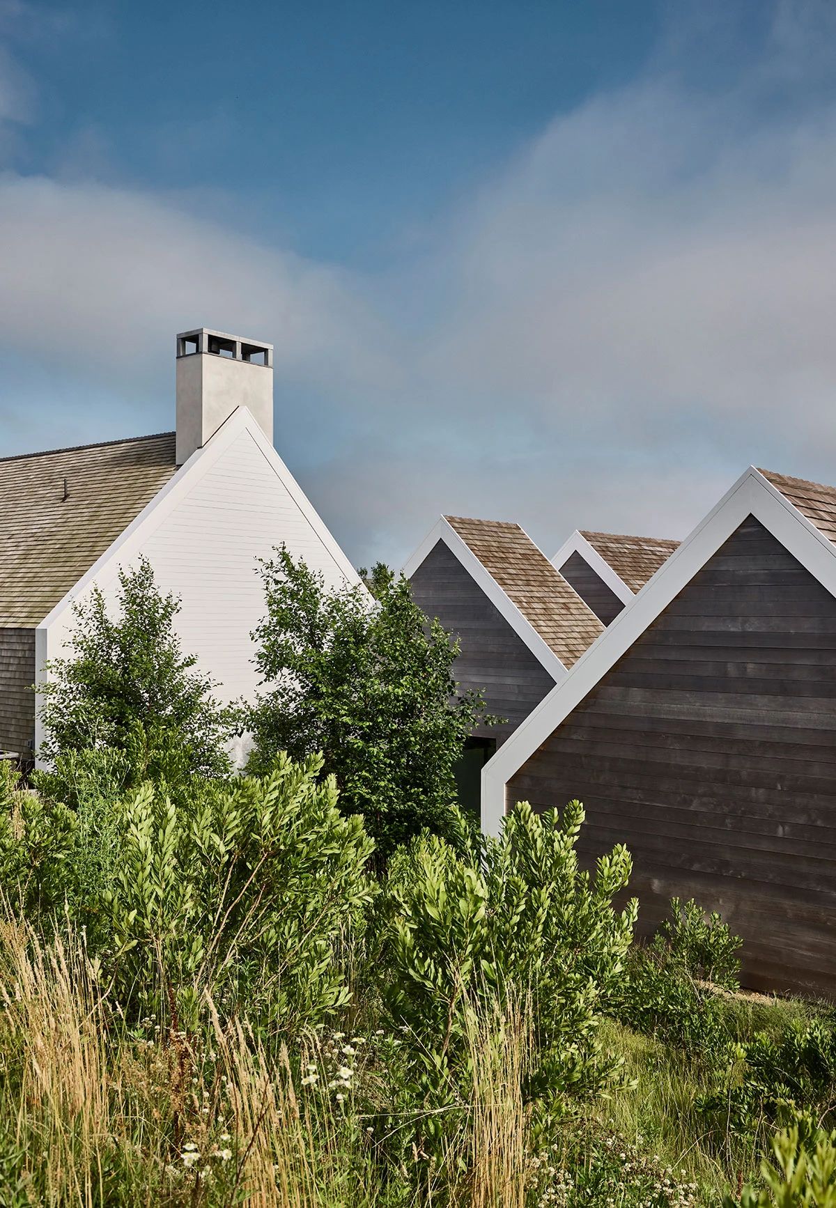 The Courtyard 住宅丨美国丨Workshop APD-51