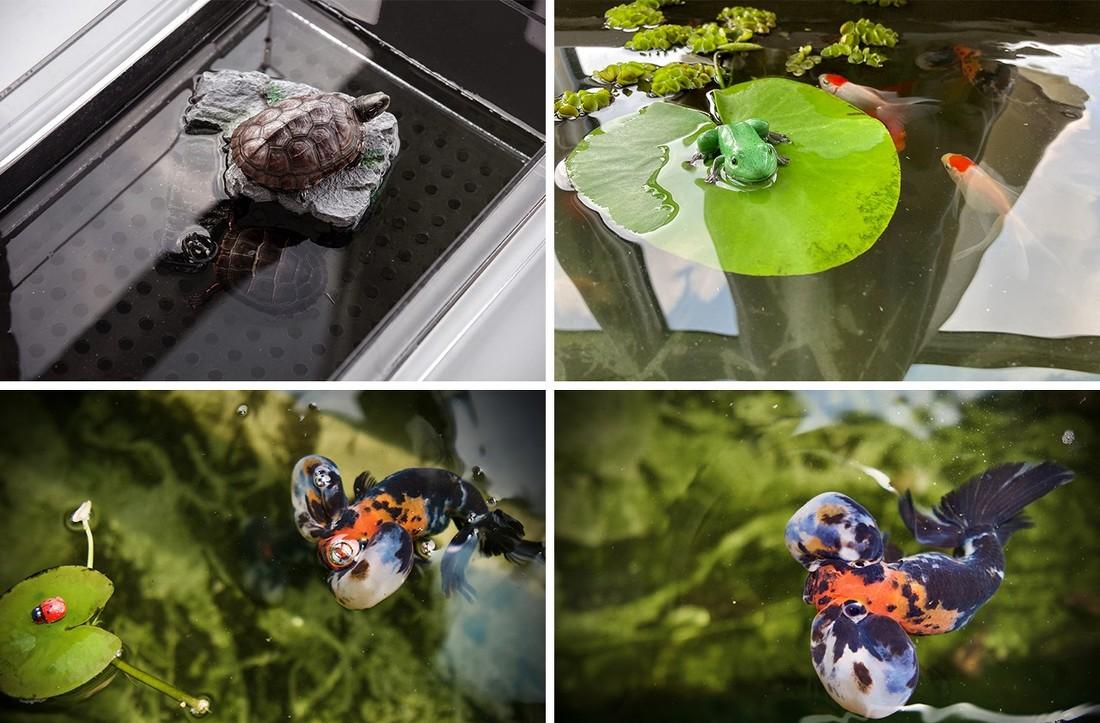 小户型大改造,阳台变儿童房,采光厨房卧室卫生间全升级!-57