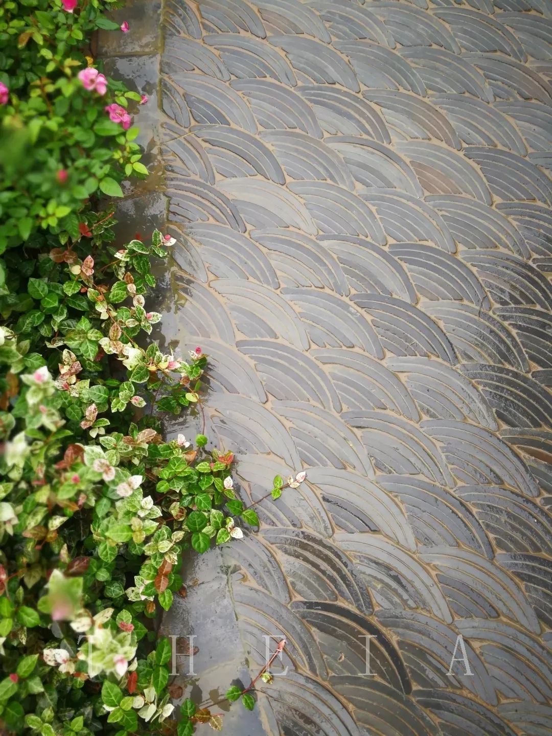 甬上情缘 | 十里红妆的园林艺术-78