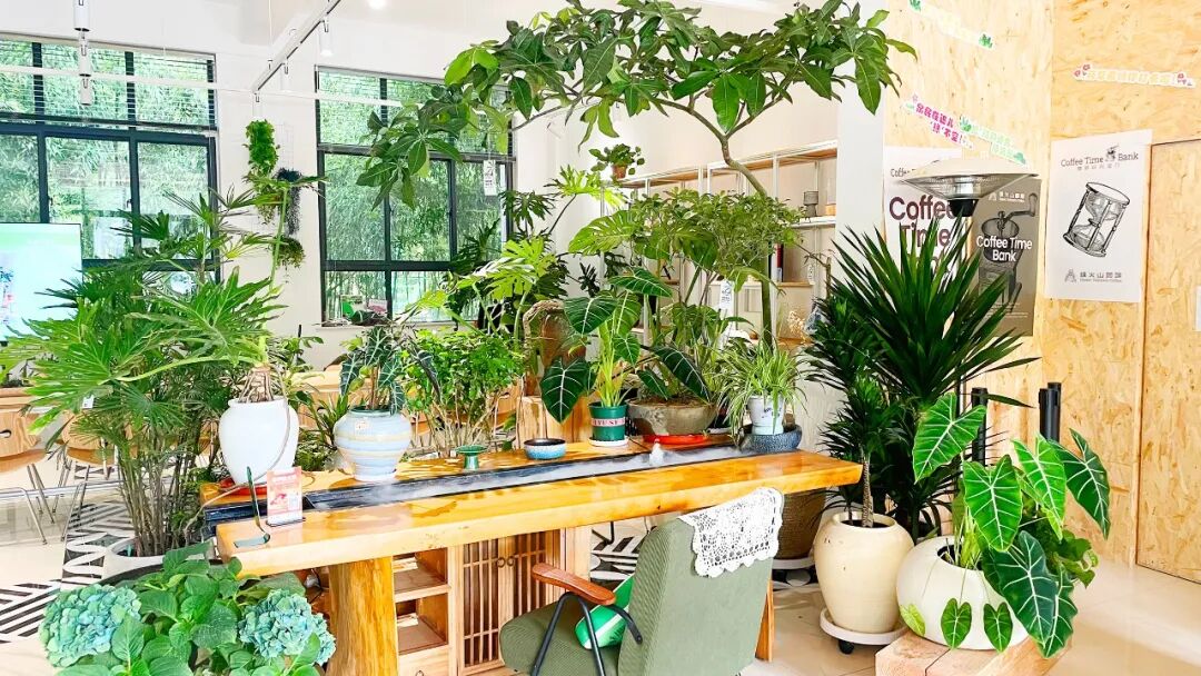 大众网满月回访泉民园艺中心领航店-76