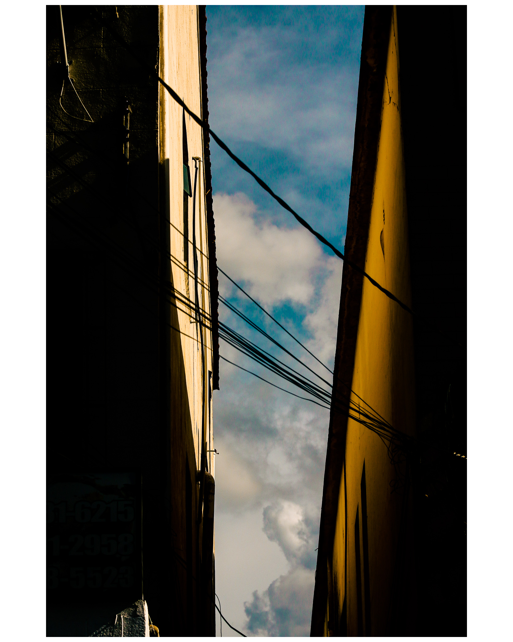 百分之一百纯艺术第二卷-18