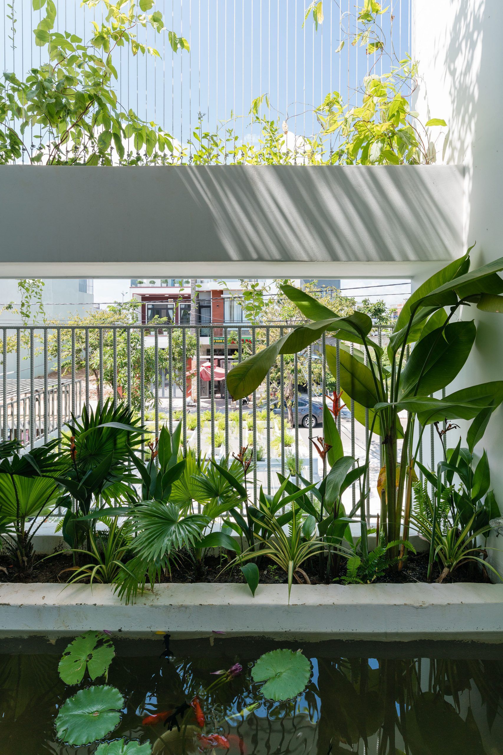 绿意盎然的中越气候适应型 Q House-49