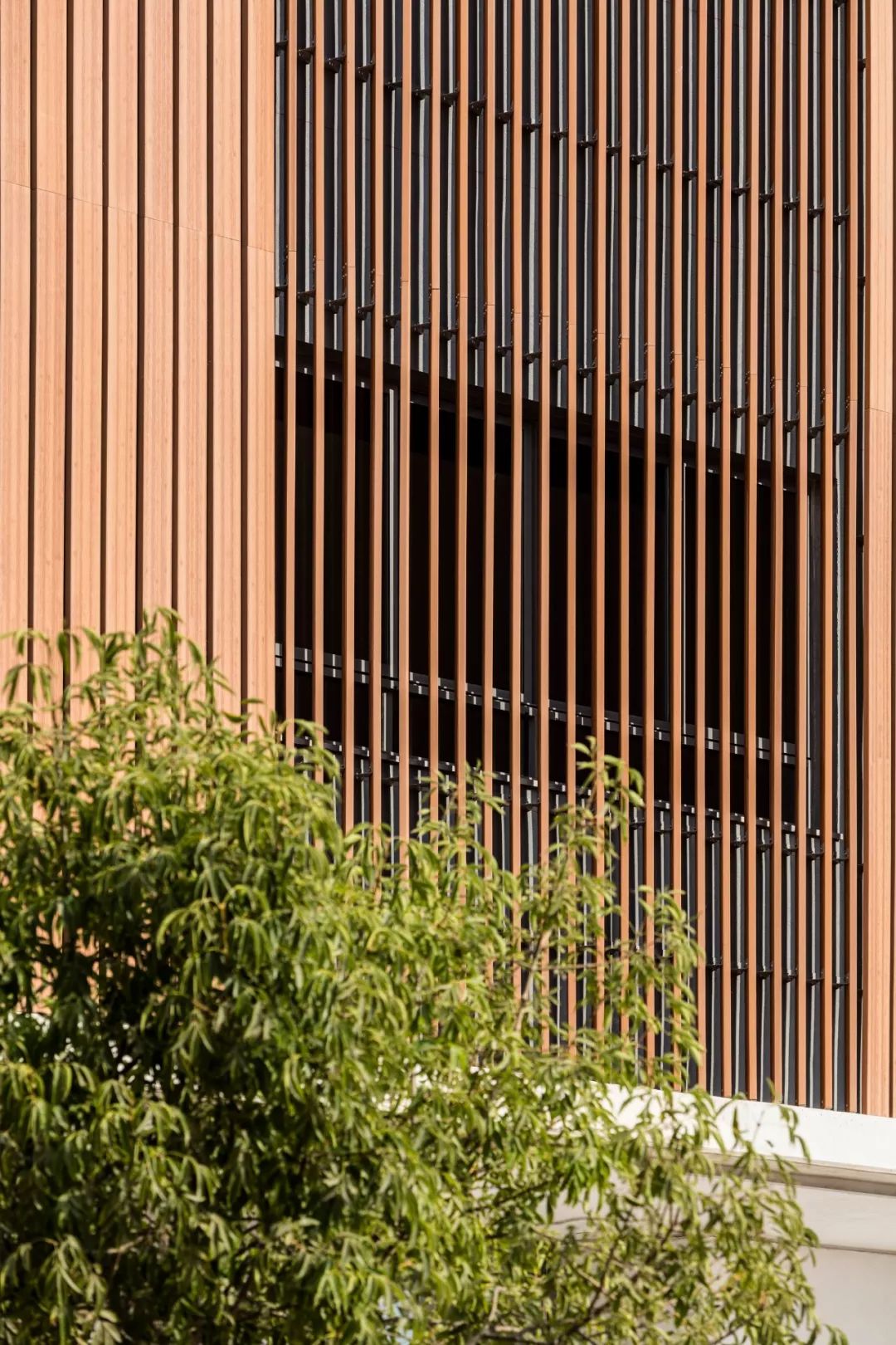 以色列建筑事务所 Kimmel Eshkolot 的杰出设计-76